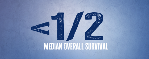 Less than half the median overall survival compared to those with wild-type BRAF mCRC