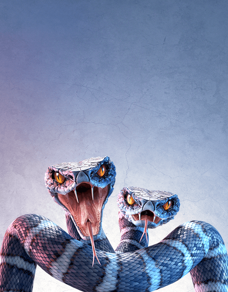 Snakes depicting BRAF mutations in mCRC