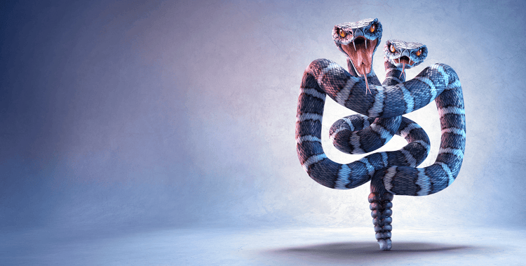 Snakes depicting BRAF mutations in mCRC